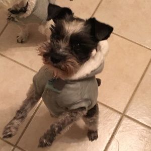 Meet your Posher, Erica